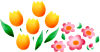 t[